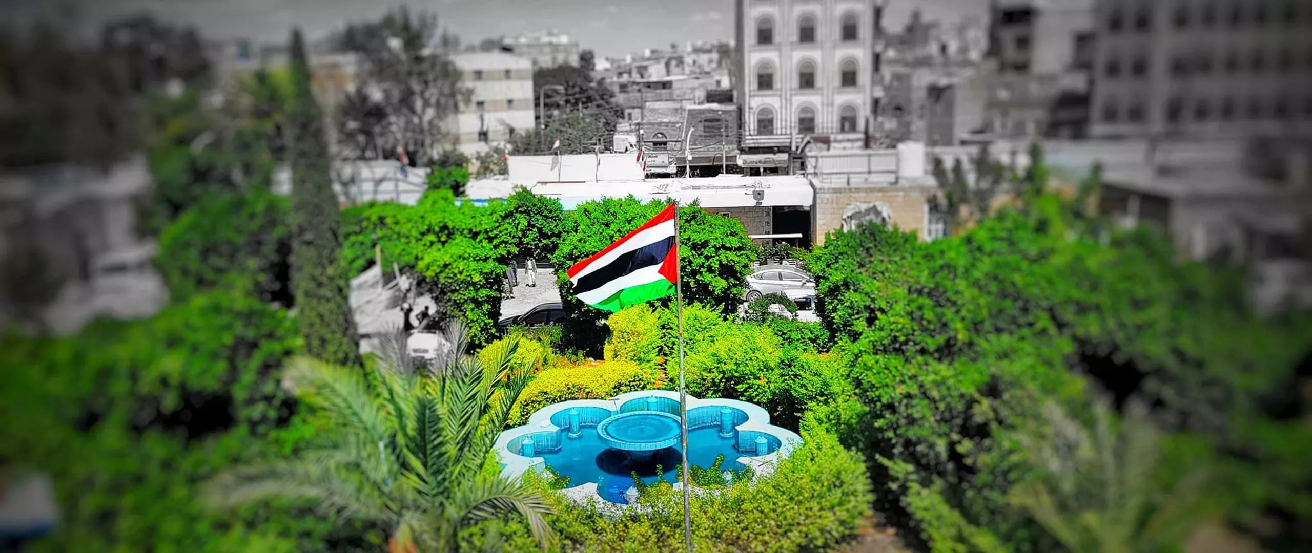 مختبرات صنعاء, المركز الوطني لمختبرات الصحة العامة, NCPHL, مختبرات طبية اليمن, تحاليل طبية صنعاء, بنك الدم, فحوصات المياه, فحوصات الأغذية, الترصد الوبائي, تحاليل الأمصال, أمراض الدم, مختبرات معتمدة اليمن, Agriculture Street Sana'a lab