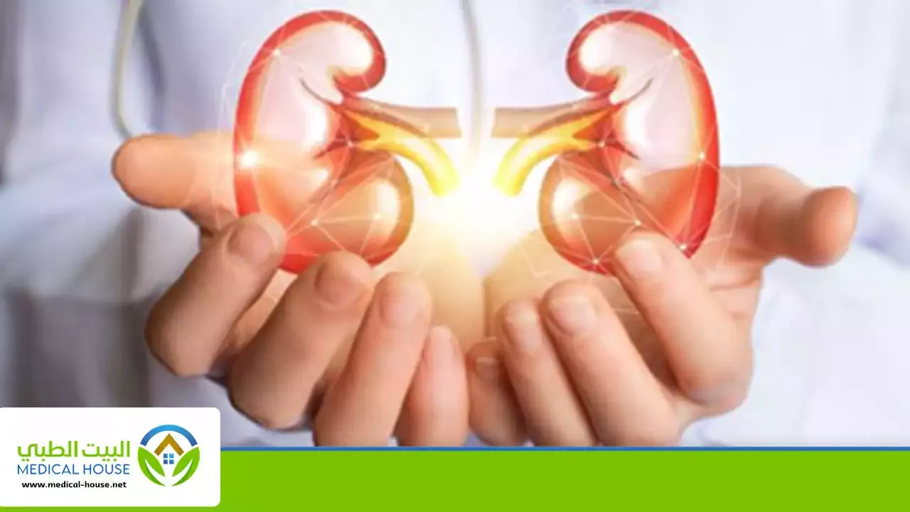 زراعة الكلى وكل ما تحتاج لمعرفته حول هذا النوع من العمليات ـ شريف محمد ـ البيت الطبي