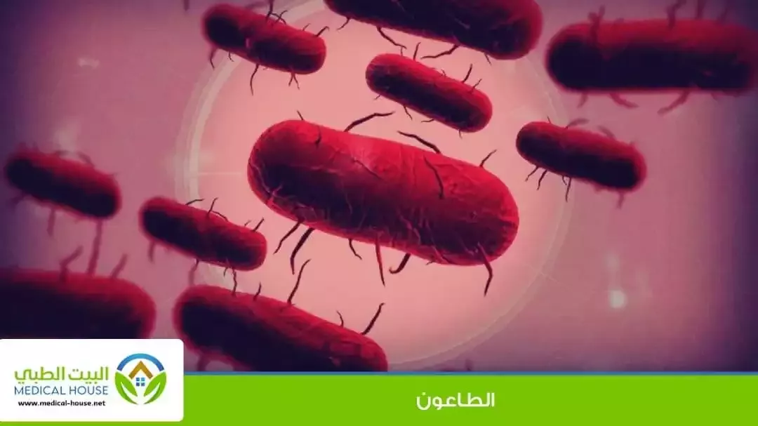 الطاعون (plague)  ، أنواعه واعراضه وعلاجة ، البيت الطبي