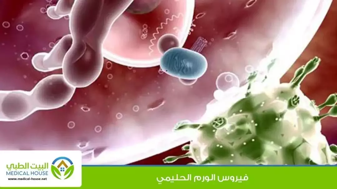 فيروس الورم الحليمي البشري  , البيت الطبي